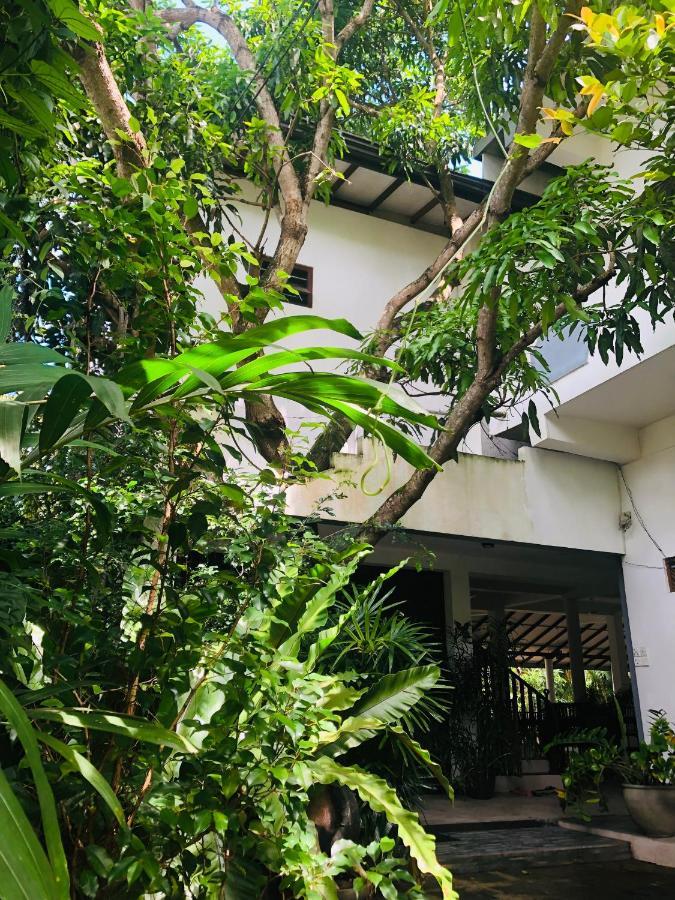 Tinara River Inn, Weligama Luaran gambar