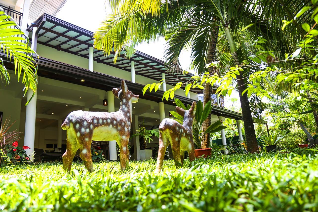 Tinara River Inn, Weligama Luaran gambar