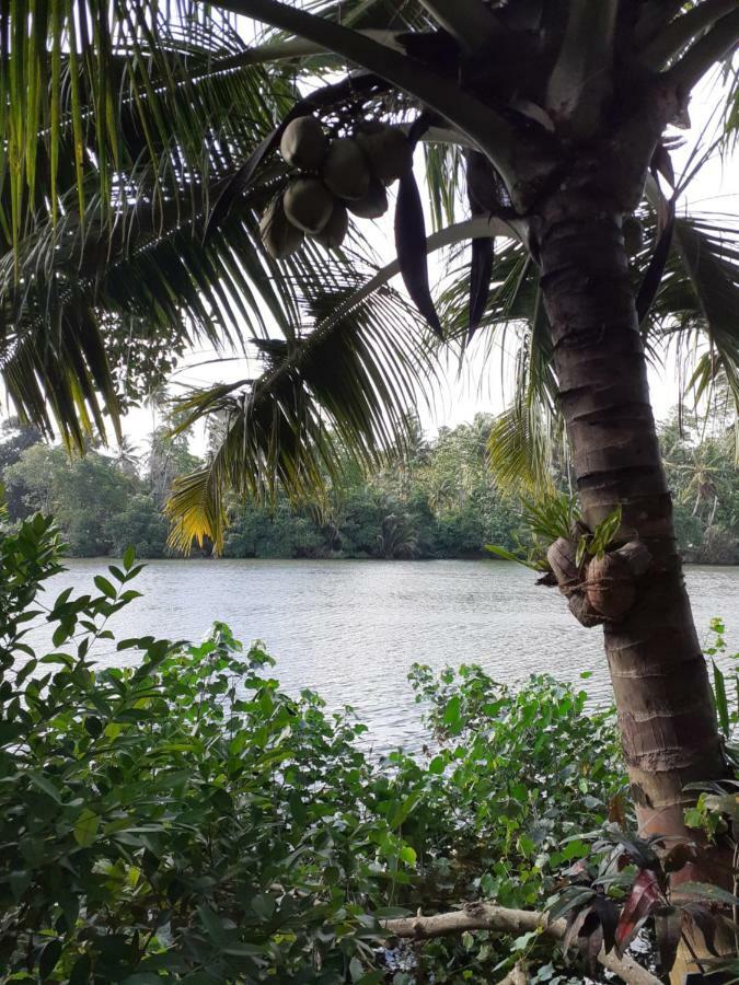 Tinara River Inn, Weligama Luaran gambar