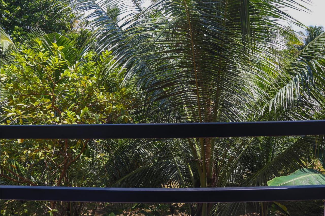 Tinara River Inn, Weligama Luaran gambar